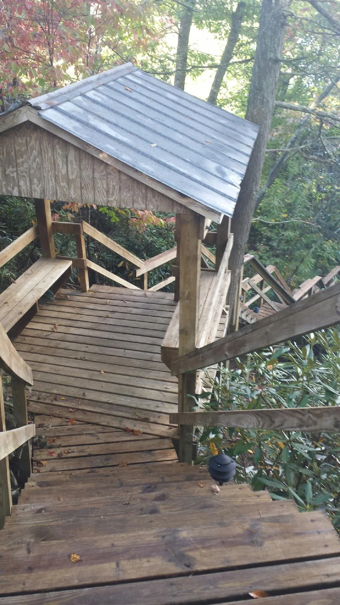 Metal roofed shelter over wooden steps on a wooded walkway — Skylight Repair & Installation work by our crew in Chapel Hill